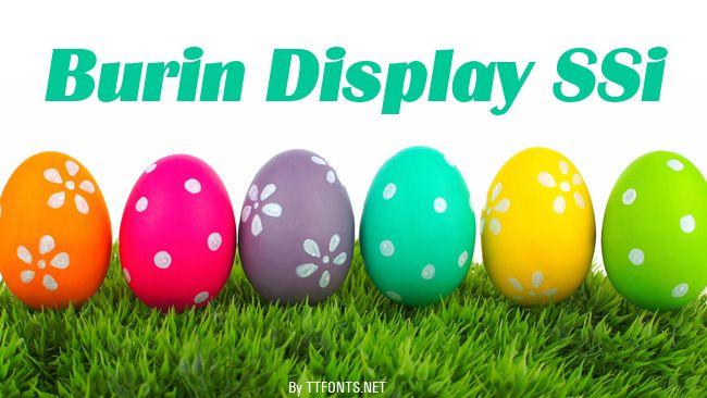 Burin Display SSi example