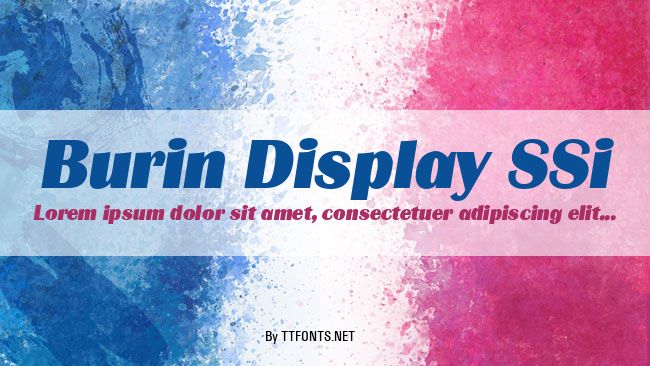 Burin Display SSi example