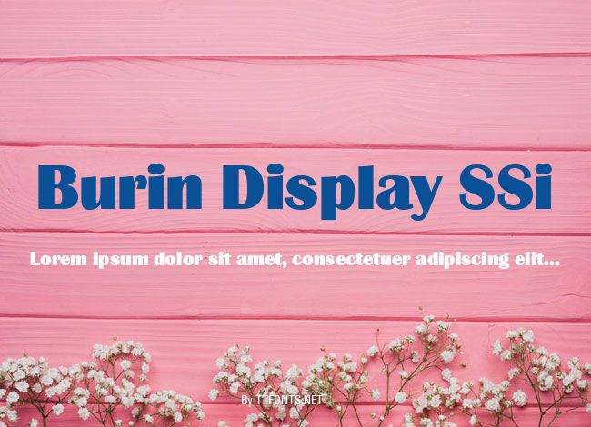 Burin Display SSi example