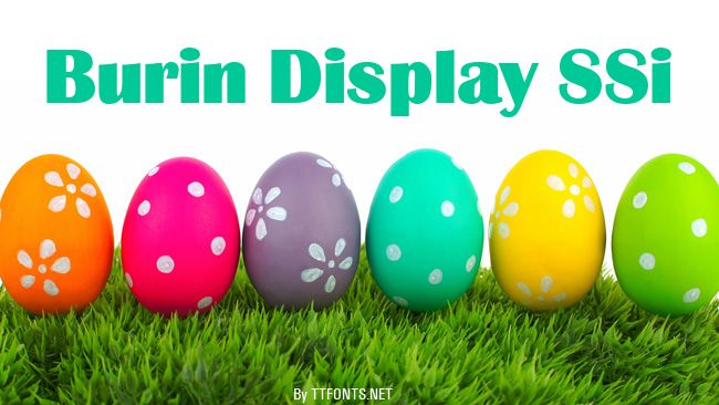 Burin Display SSi example
