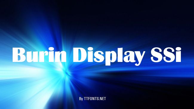 Burin Display SSi example