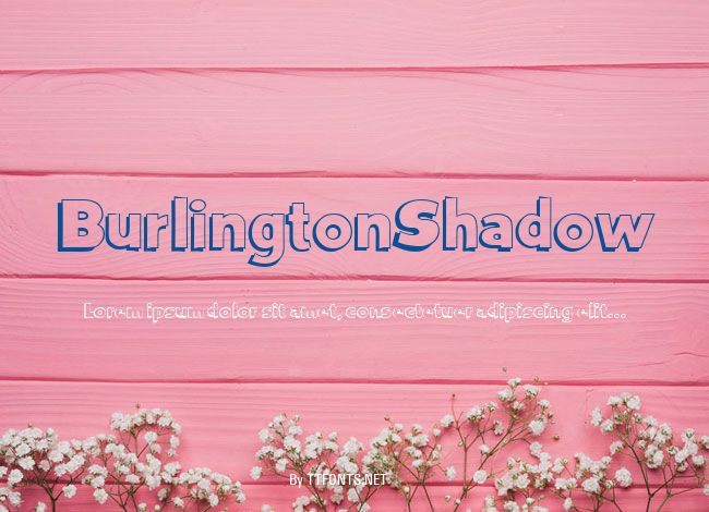 BurlingtonShadow example