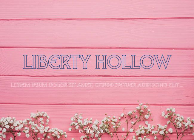 Liberty Hollow example