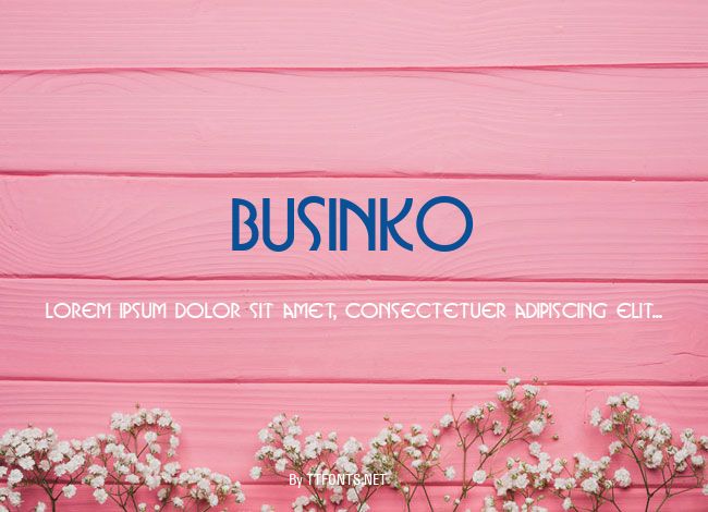 Businko example