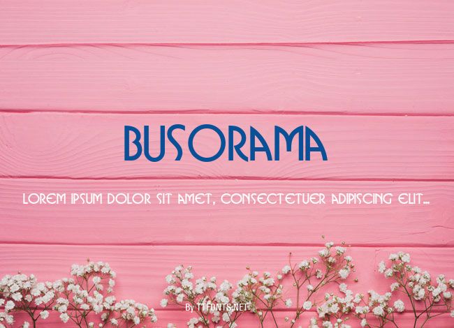 Busorama example
