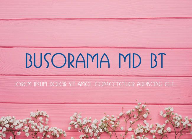 Busorama Md BT example