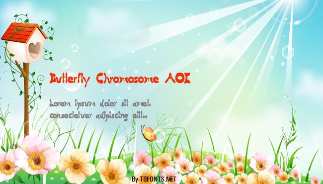 Butterfly Chromosome AOE example