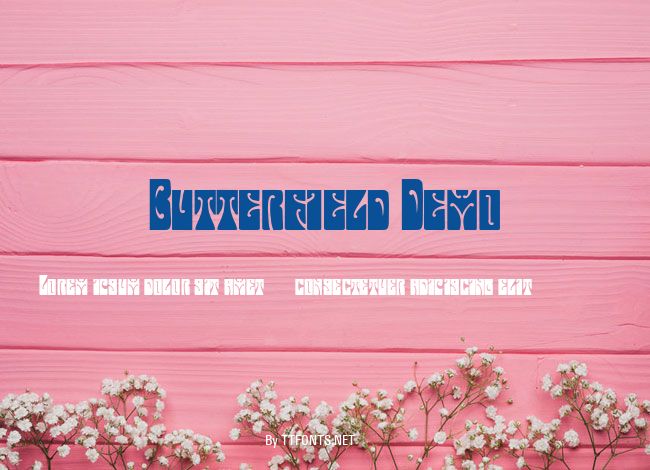 Butterfield Demo example