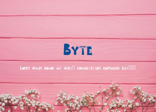 Byte example