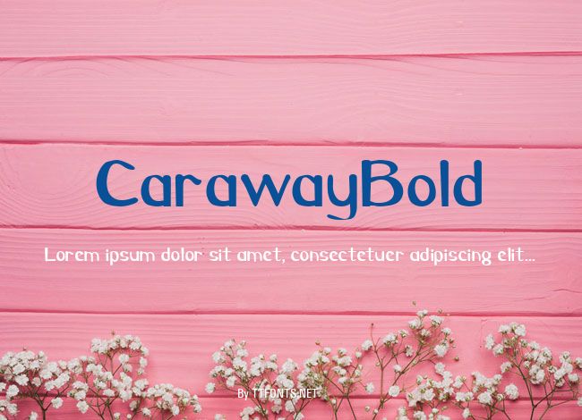 CarawayBold example