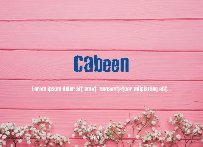 Cabeen example