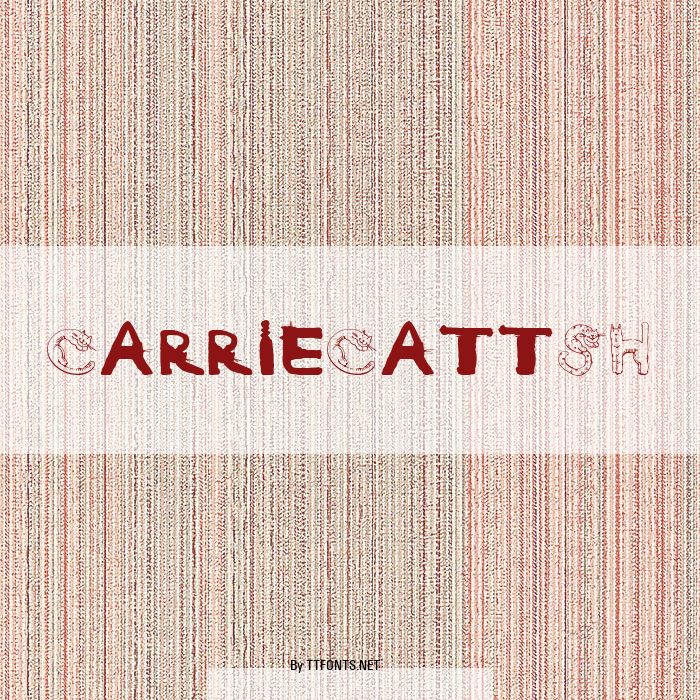 CarrieCattSH example