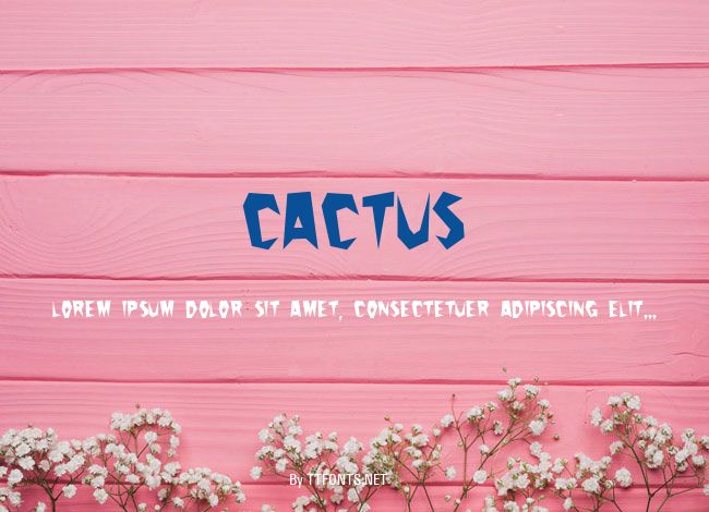 Cactus example