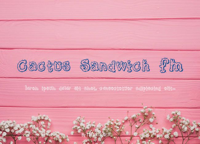 Cactus Sandwich FM example