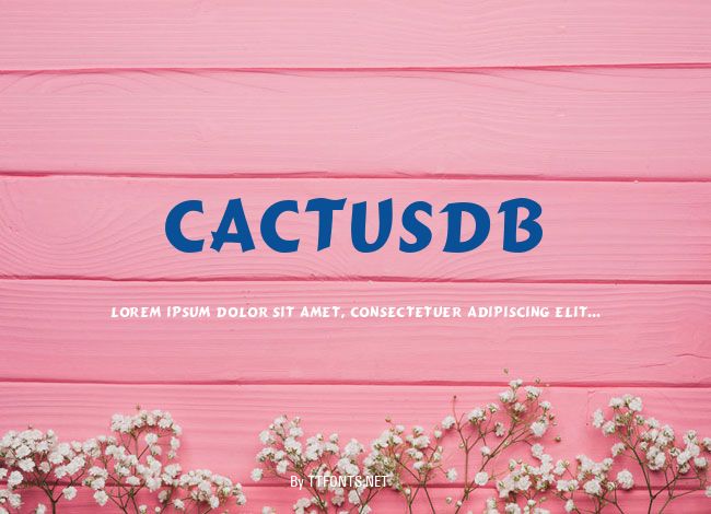 CactusDB example