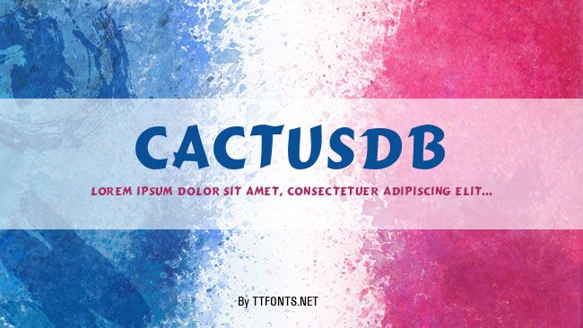 CactusDB example