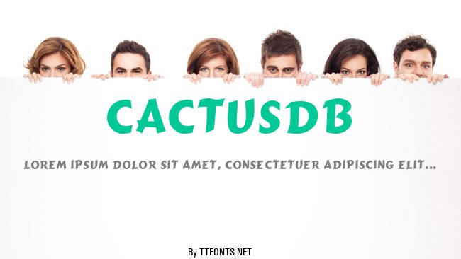 CactusDB example