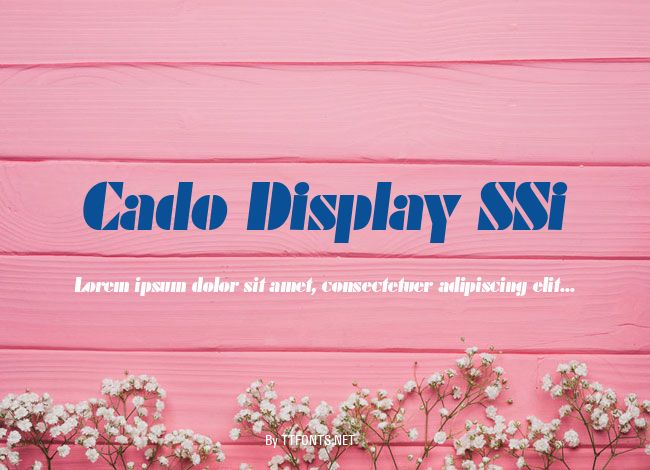 Cado Display SSi example