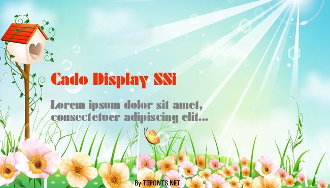 Cado Display SSi example