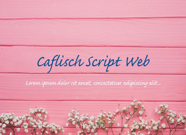 Caflisch Script Web example