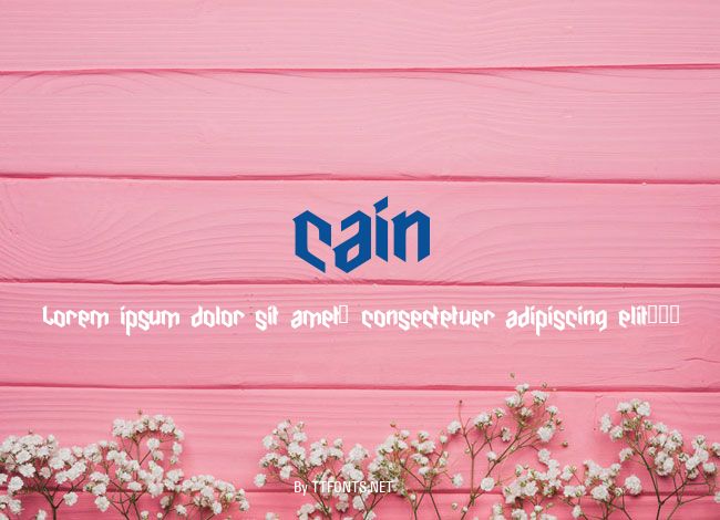 cain example