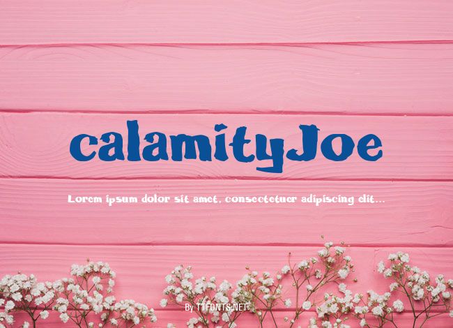 calamityJoe example