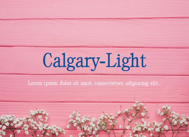 Calgary-Light example