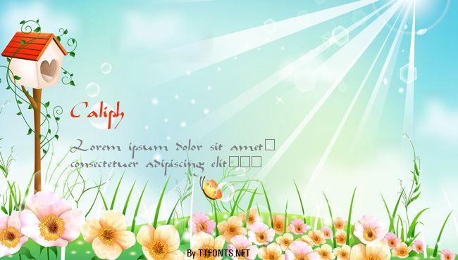 Caliph example