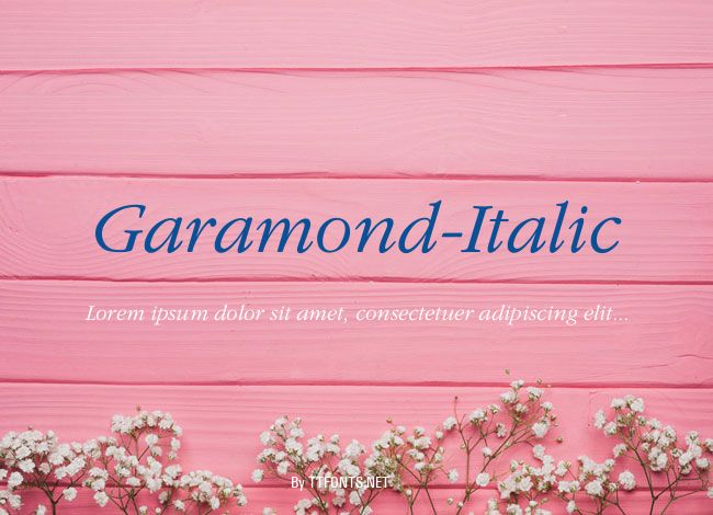 Garamond-Italic example