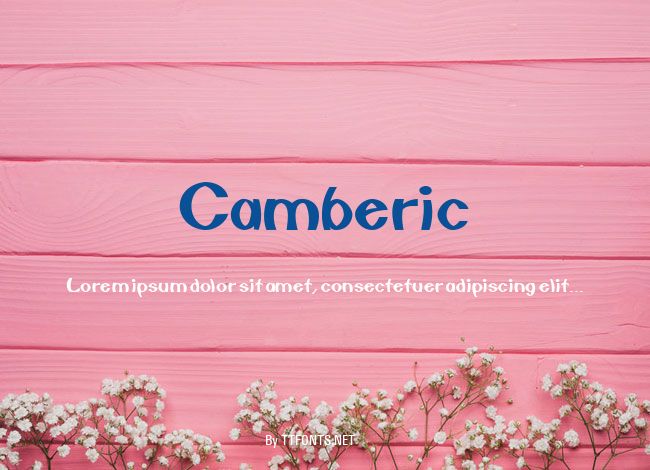 Camberic example