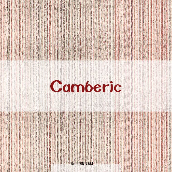 Camberic example