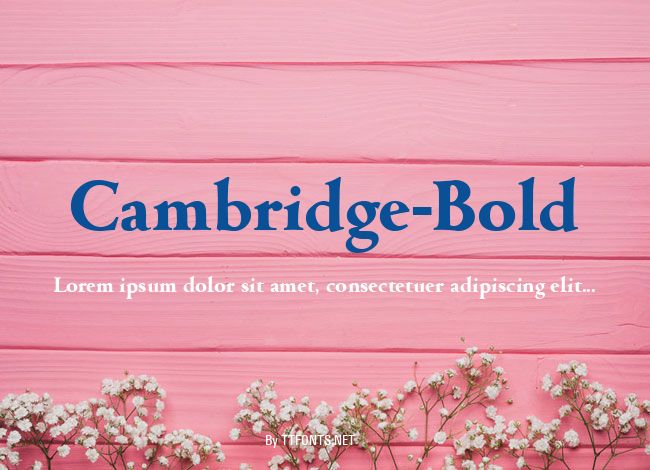 Cambridge-Bold example