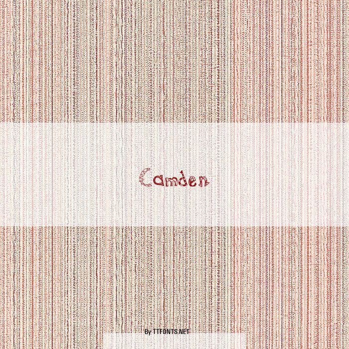 Camden example