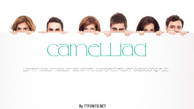 CamelliaD example