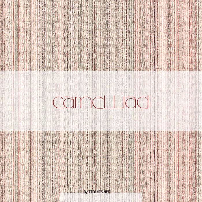 CamelliaD example