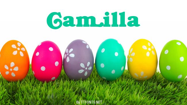 Camilla example