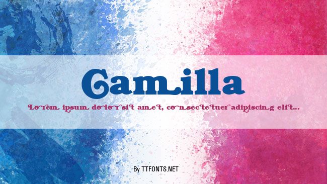 Camilla example