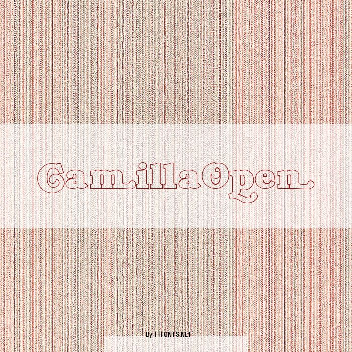 CamillaOpen example
