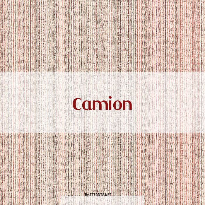 Camion example