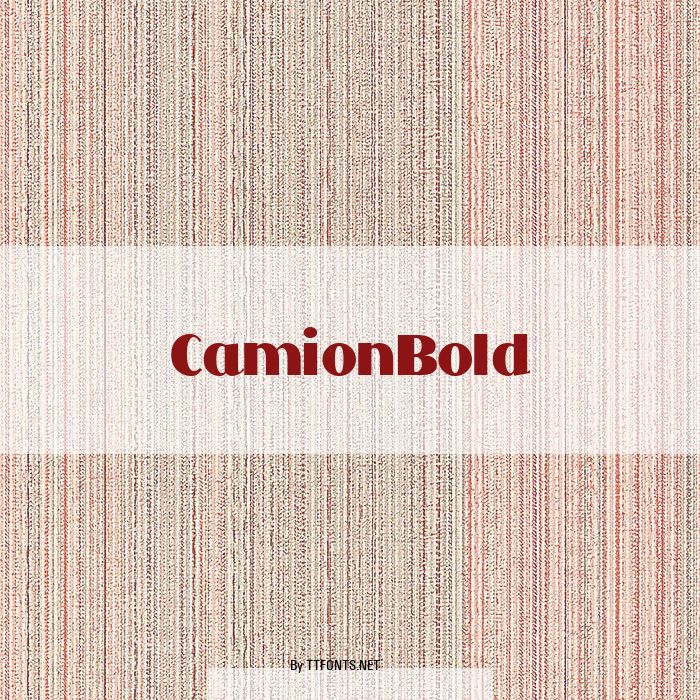 CamionBold example