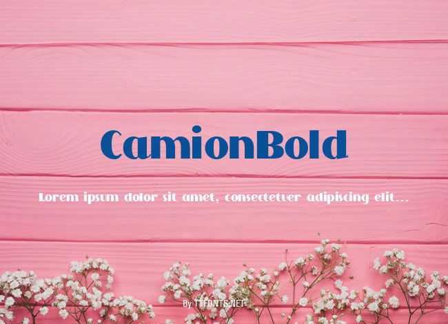 CamionBold example