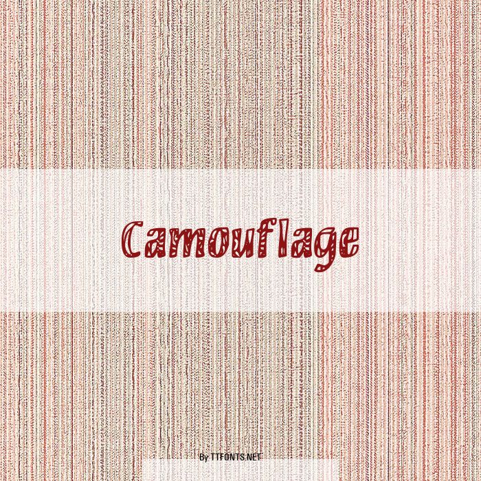 Camouflage example