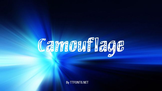Camouflage example