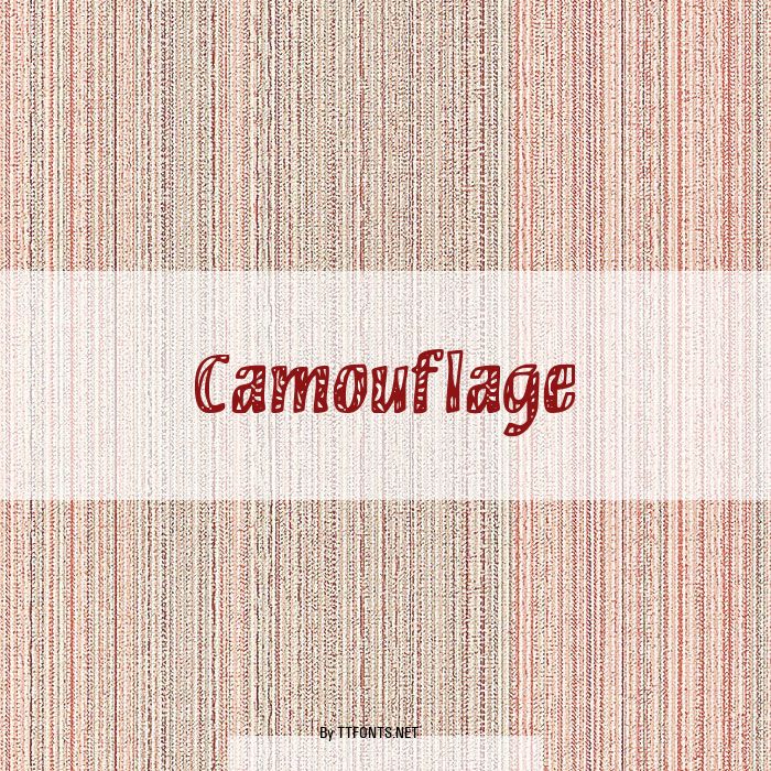 Camouflage example