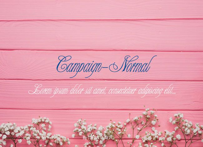 Campaign-Normal example