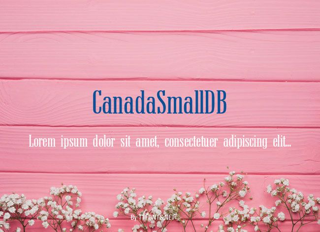 CanadaSmallDB example