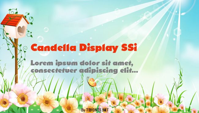 Candella Display SSi example