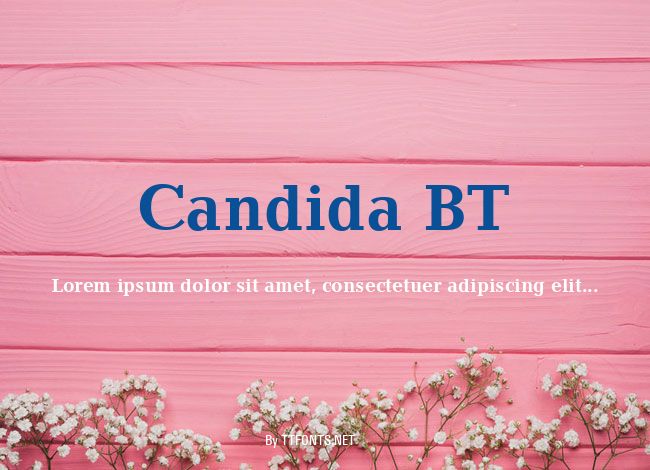 Candida BT example