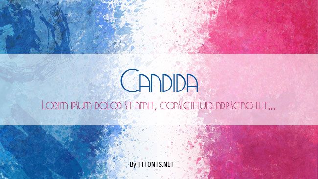 Candida example