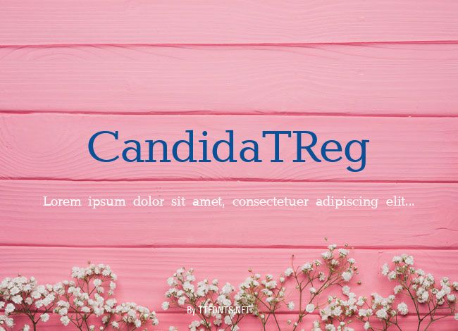 CandidaTReg example